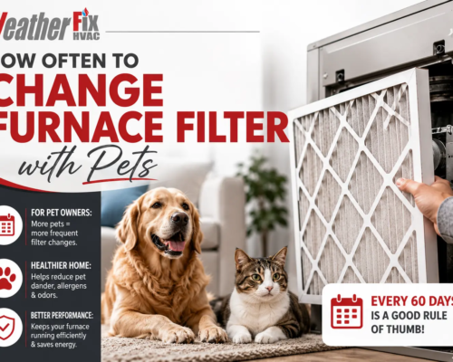 how often to change furnace filter with pets