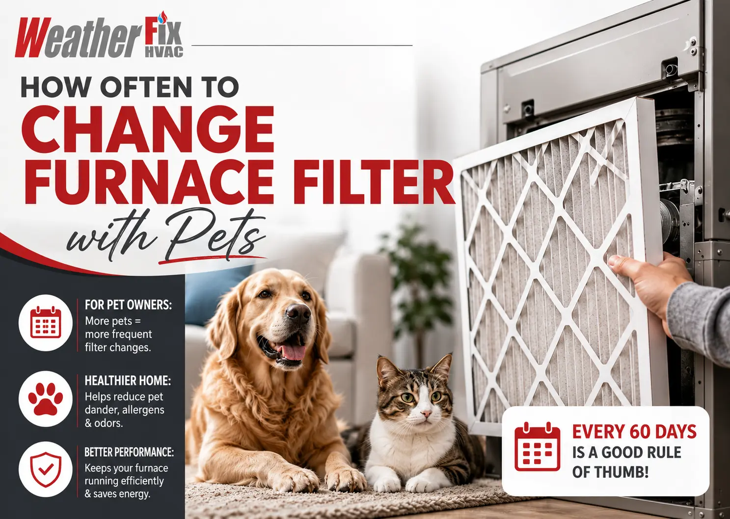 how often to change furnace filter with pets
